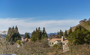 3075 Stonegate Dr, Alamo, CA 94507, US Photo 45