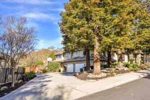 3075 Stonegate Dr, Alamo, CA 94507, US Photo 2