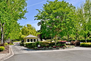 3075 Stonegate Dr, Alamo, CA 94507, US Photo 57