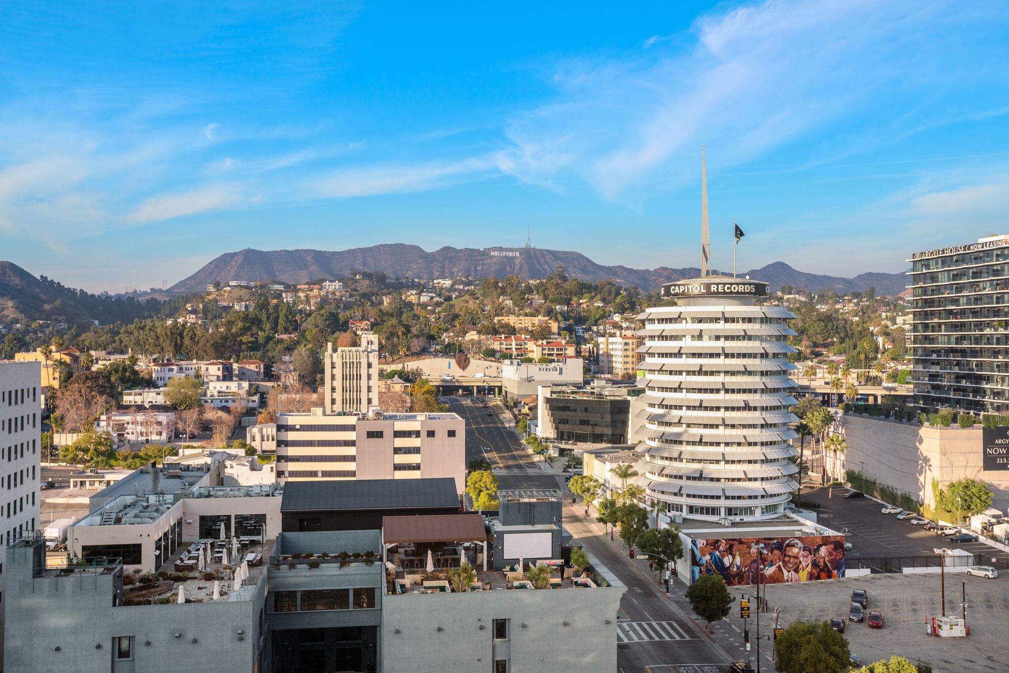 1645 vine_unit 1008-0737