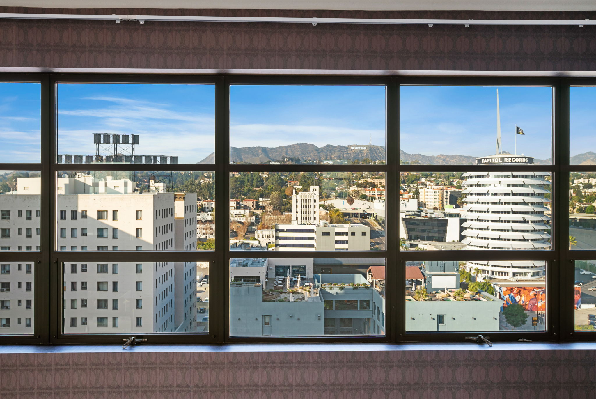 1645 vine_unit 1008-0324