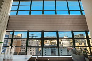 1645 vine_unit 1008-0674