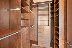 1645 vine_unit 1008-0279