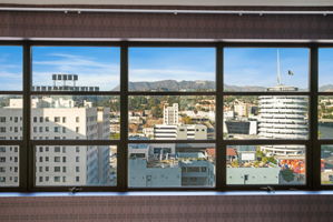 1645 vine_unit 1008-0324