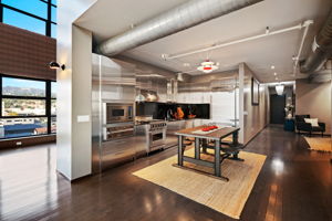 1645 vine_unit 1008-0488