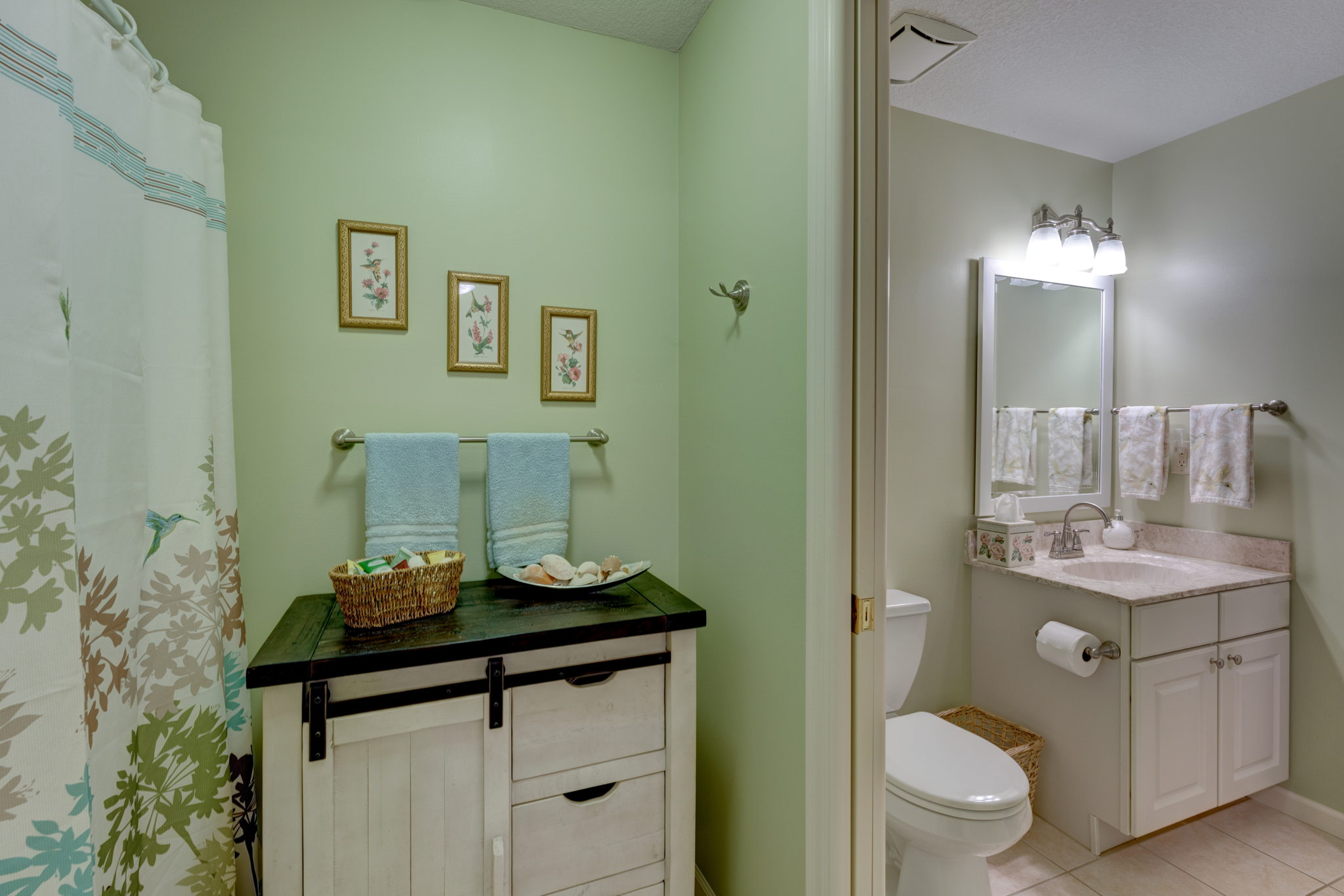 Lower Level - Bathroom