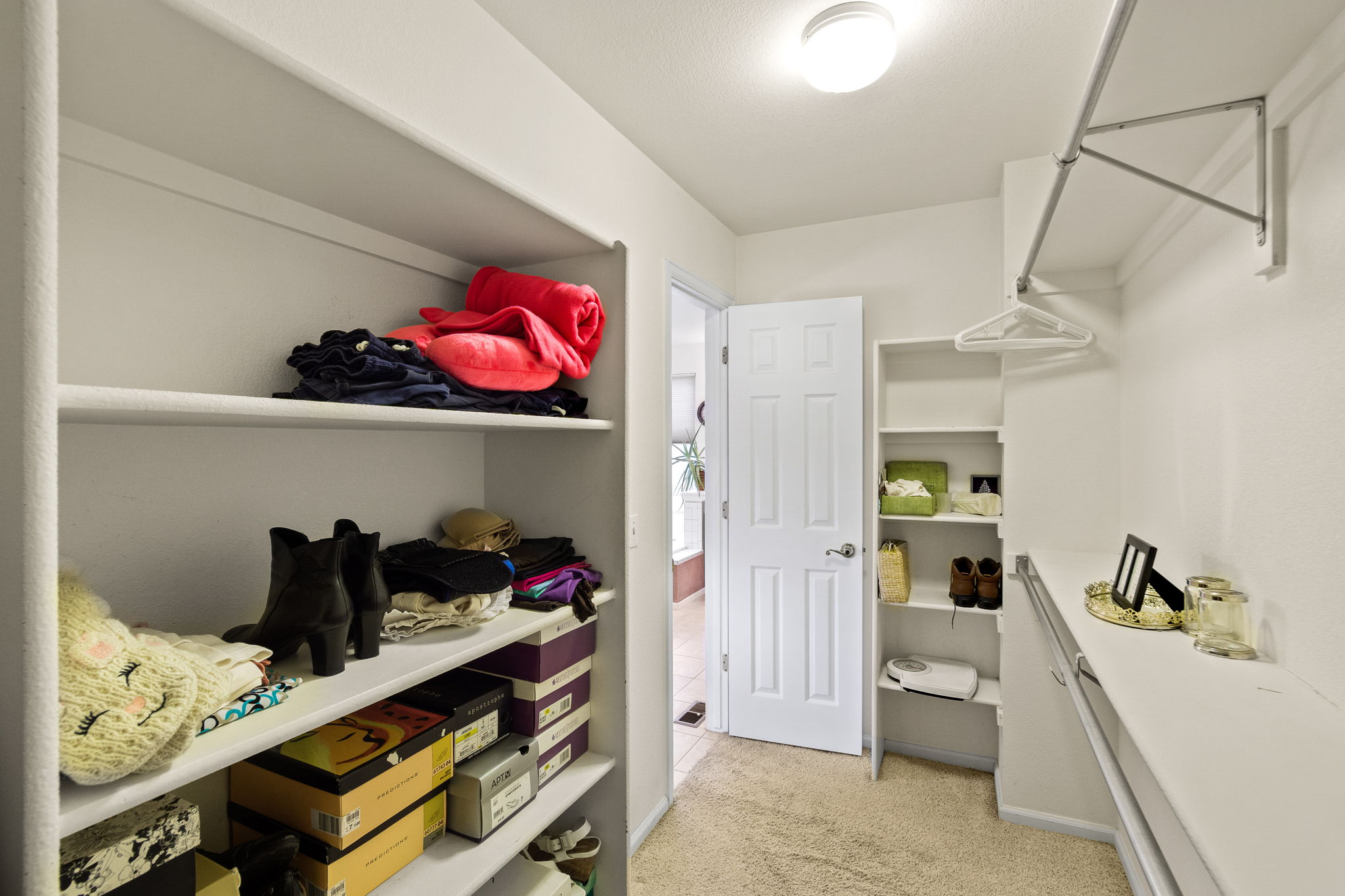 8779 S Dudley St, Littleton, CO 80128, US Photo 17