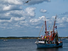 Amelia Island/Fernandina Beach