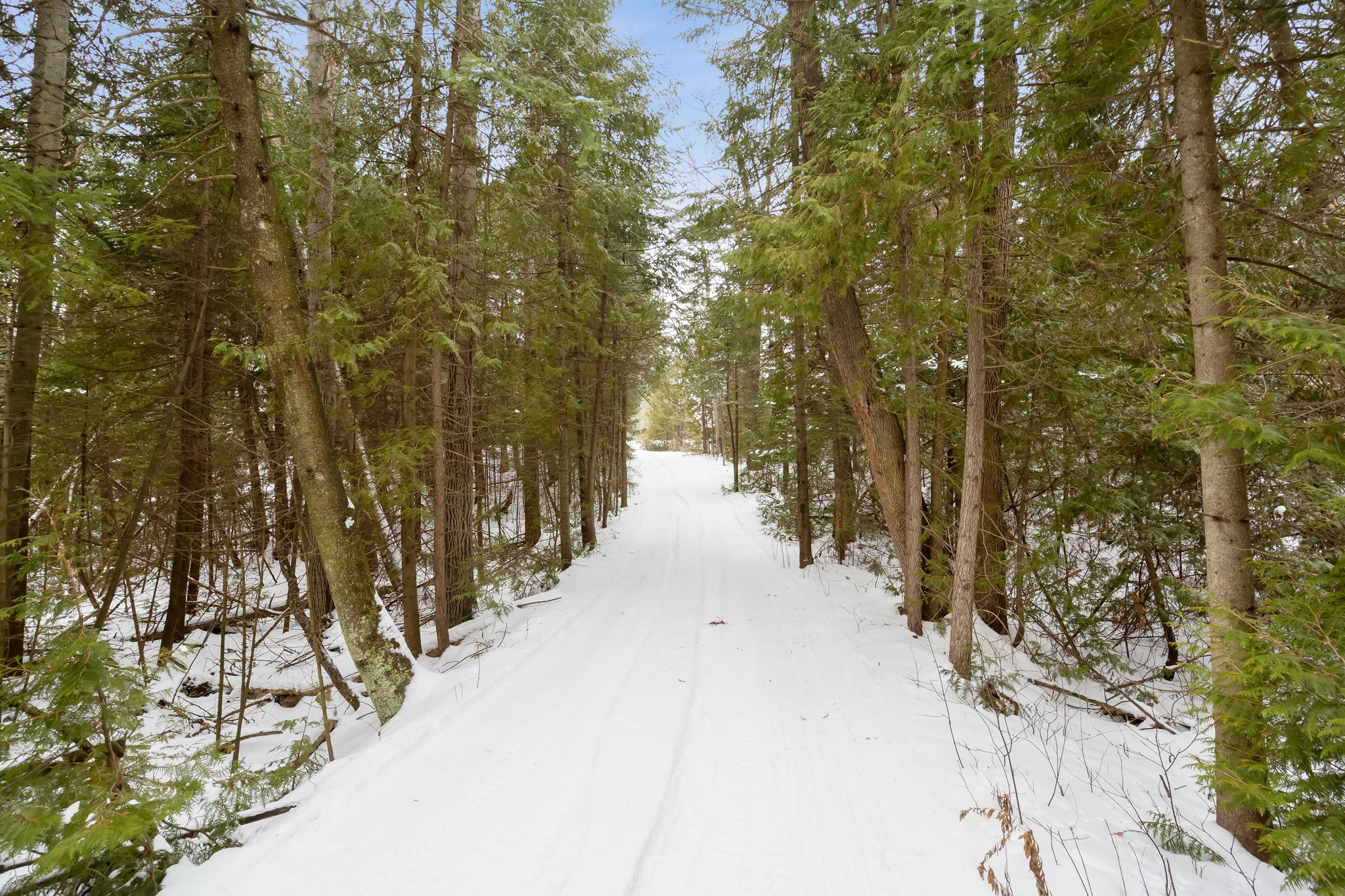 5716 10th Line, Erin, ON N0B 1T0, CA Photo 35