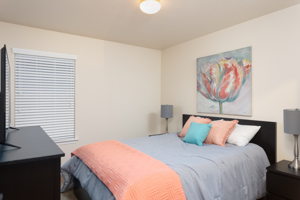 7742 Copper Cave, San Antonio, TX 78249, USA Photo 13
