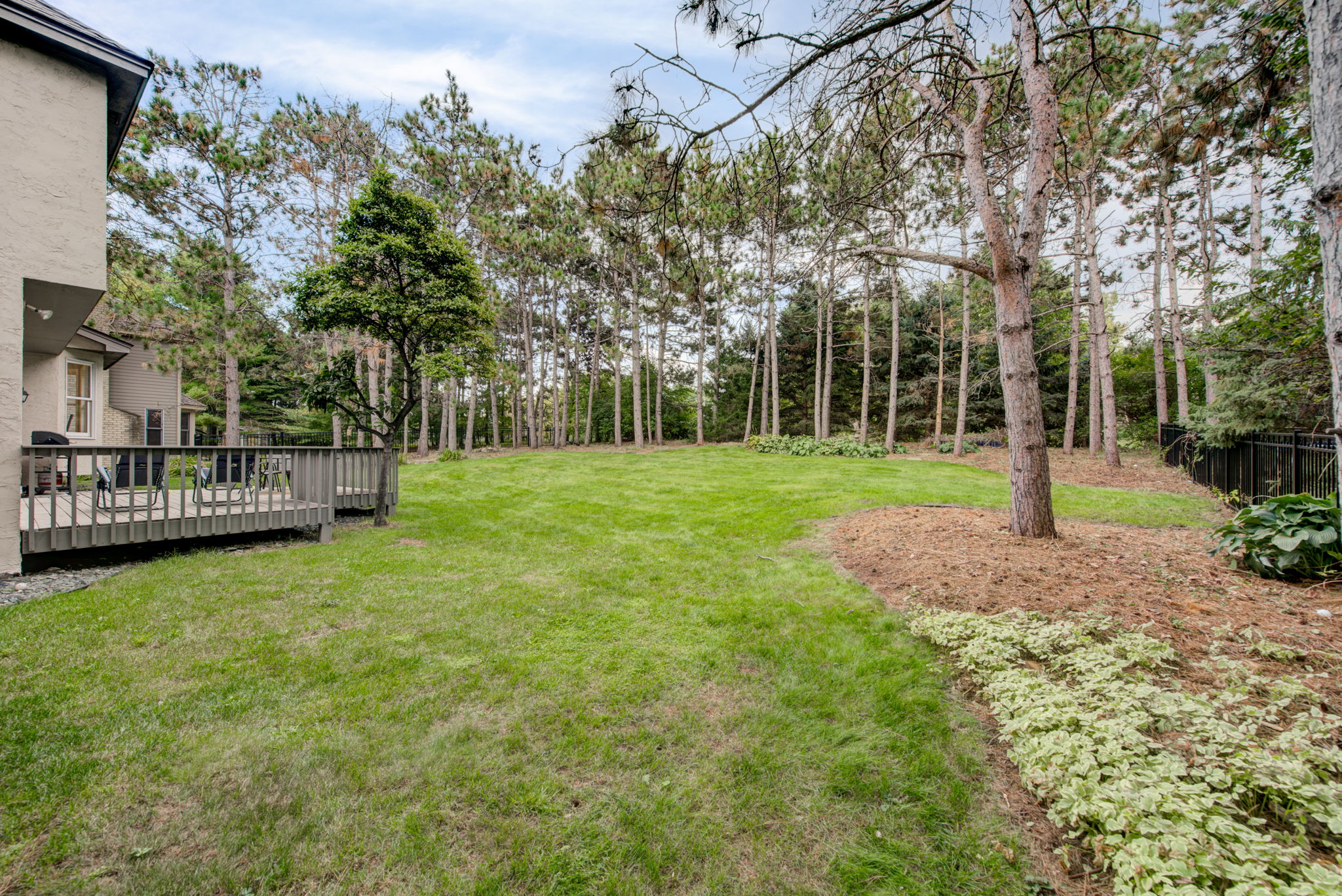 Back Yard-Open for lots options!