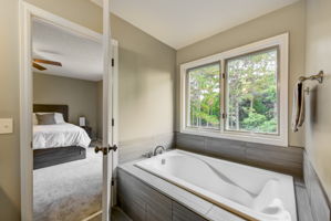 Master Bath Tub & Shower