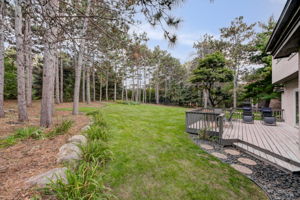 Back Yard-Wooded & Sunny