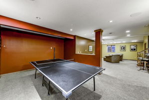 Rec Room-games or wired Theatre...