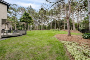 Back Yard-Open for lots options!