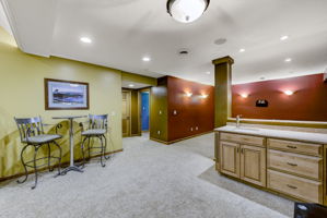 Rec Room-Lower Level w wet Bar