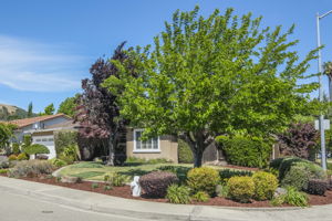2823 Springdale Ln, San Ramon, CA 94583, US Photo 1