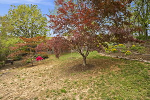 17 N Oakland St, Arlington, VA 22203, US Photo 41