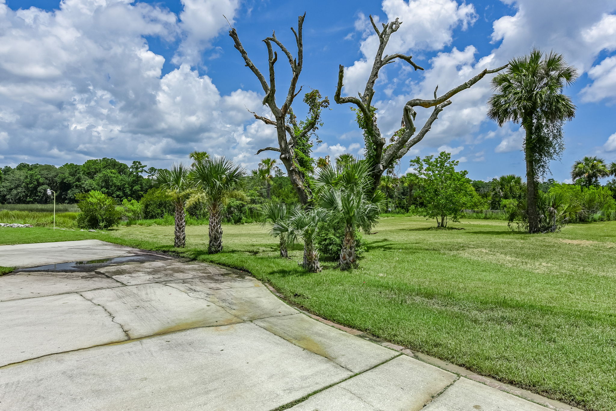Side Yard