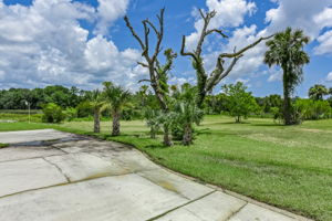 Side Yard
