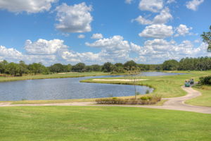 17709 Emerald Green Pl, Tampa, FL 33647, US Photo 35