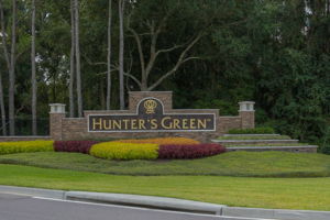 17709 Emerald Green Pl, Tampa, FL 33647, US Photo 31