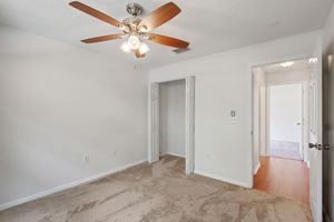 17709 Emerald Green Pl, Tampa, FL 33647, US Photo 22