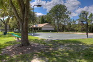 17709 Emerald Green Pl, Tampa, FL 33647, US Photo 37