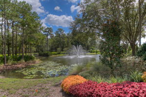 17709 Emerald Green Pl, Tampa, FL 33647, US Photo 33