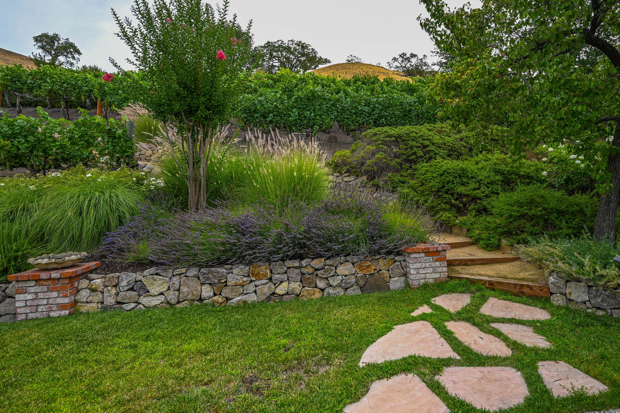 143 Jay Ln, Alamo, CA 94507, USA Photo 47