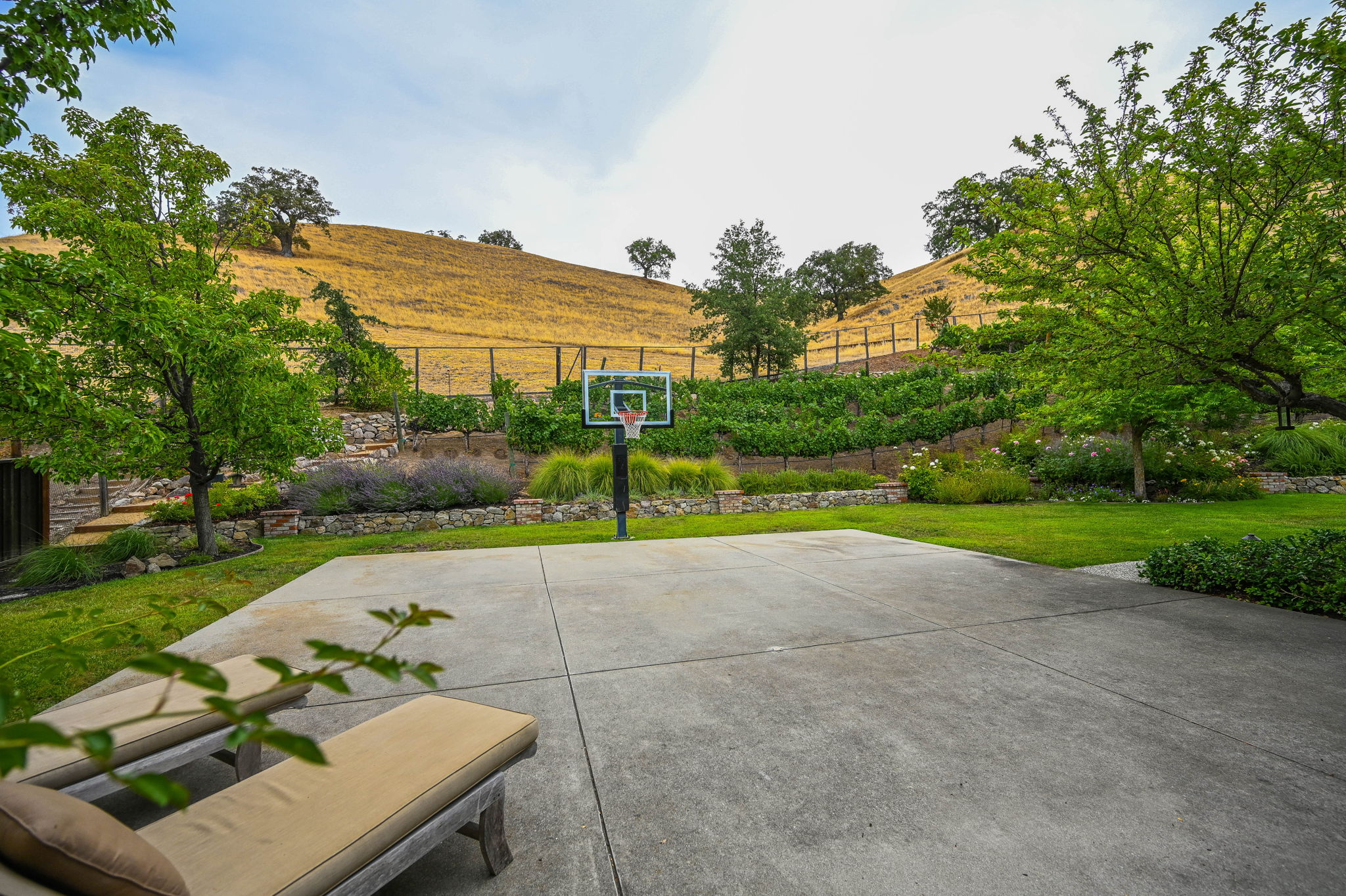 143 Jay Ln, Alamo, CA 94507, USA Photo 49