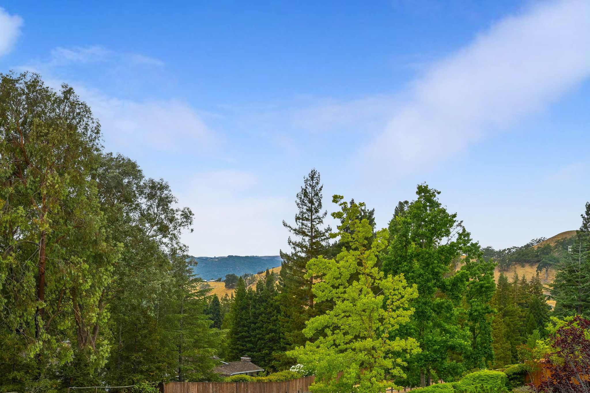 143 Jay Ln, Alamo, CA 94507, USA Photo 21