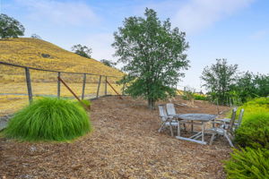 143 Jay Ln, Alamo, CA 94507, USA Photo 51