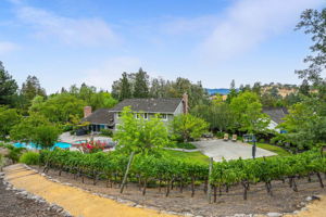 143 Jay Ln, Alamo, CA 94507, USA Photo 44