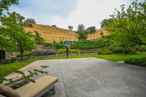 143 Jay Ln, Alamo, CA 94507, USA Photo 48