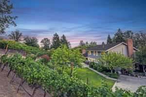 143 Jay Ln, Alamo, CA 94507, USA Photo 34