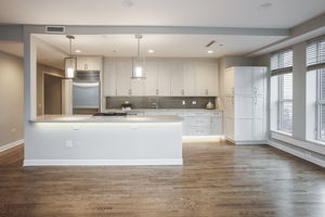 415 E North Water St unit 1806, Chicago, IL 60611, US Photo 12