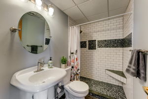 Lower Level Bathroom