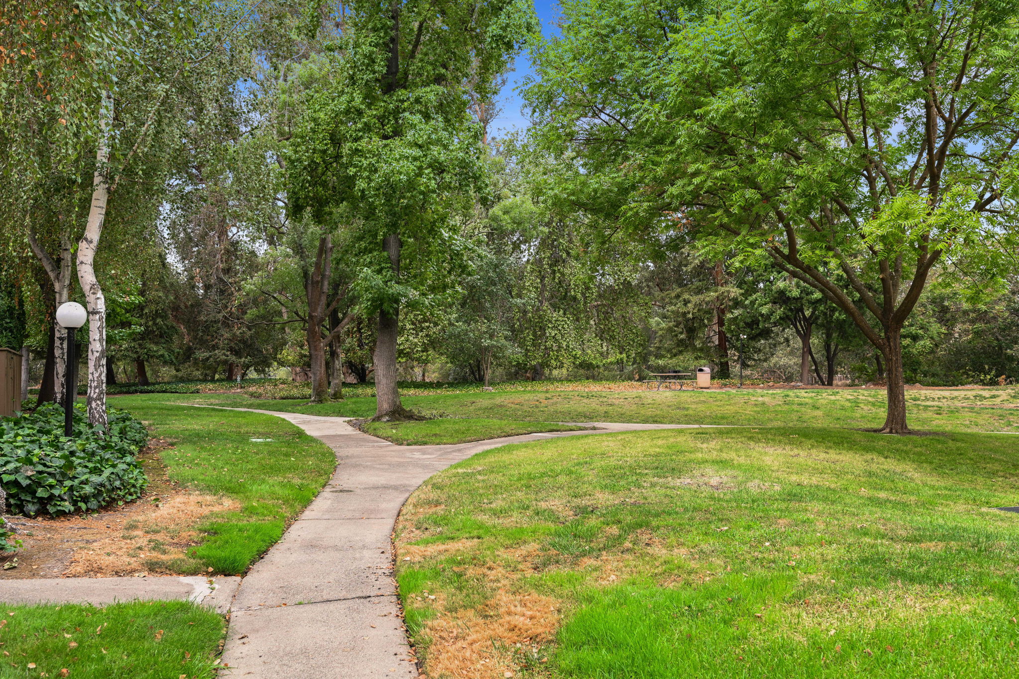 1696 Countrywood Ct, Walnut Creek, CA 94598, US Photo 27