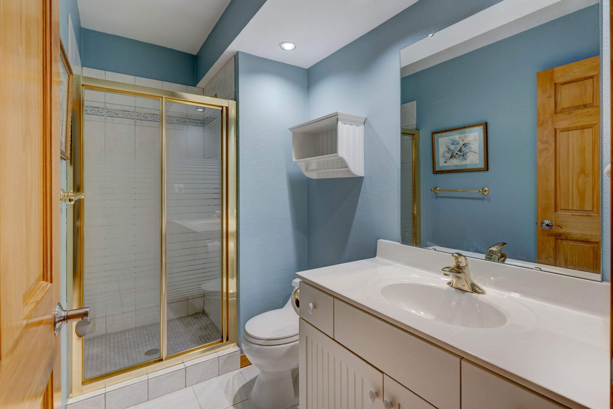 Lower Level - Bathroom