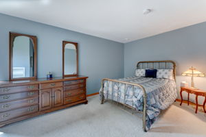 Lower Level - Bedroom