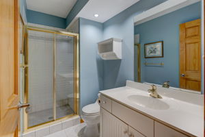 Lower Level - Bathroom