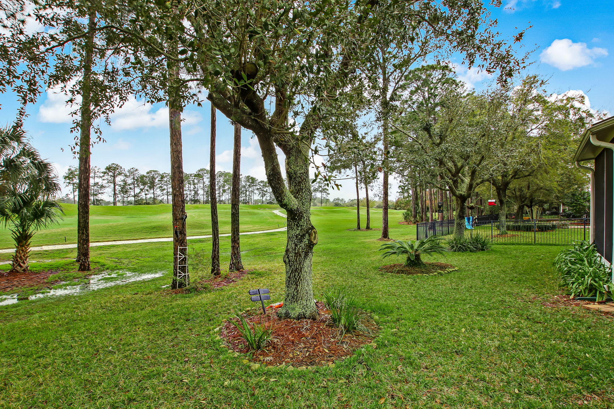 Backyard