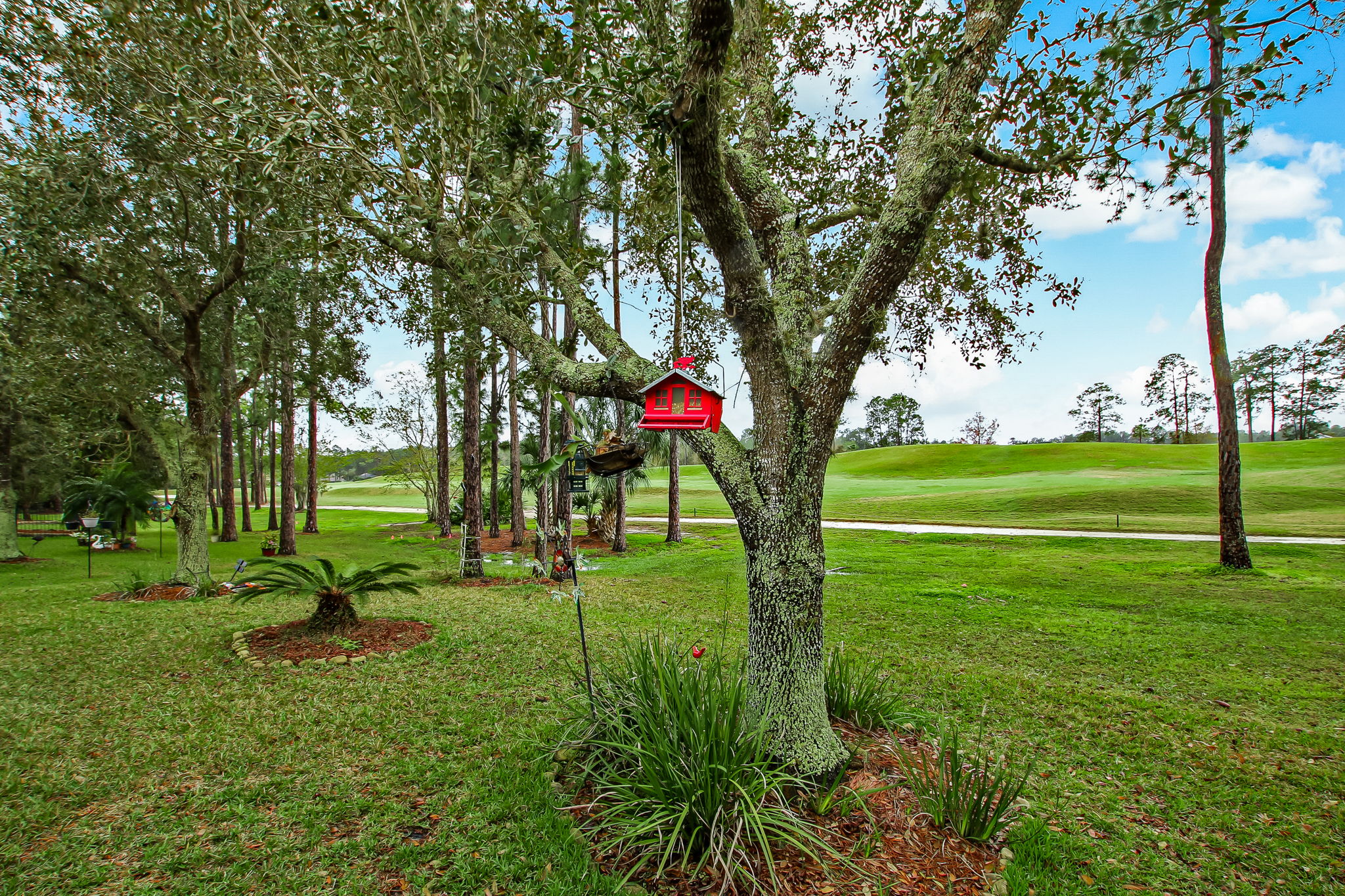 Backyard