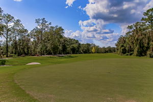 Fleming Island Plantation