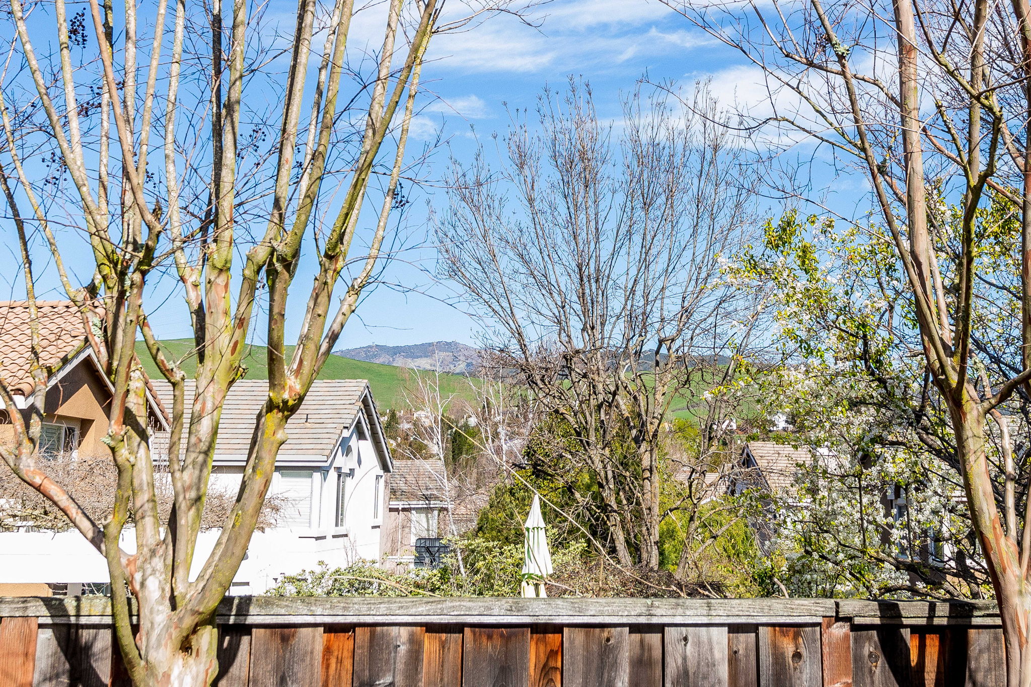 418 Antelope Ridge Way, Danville, CA 94506, US Photo 32