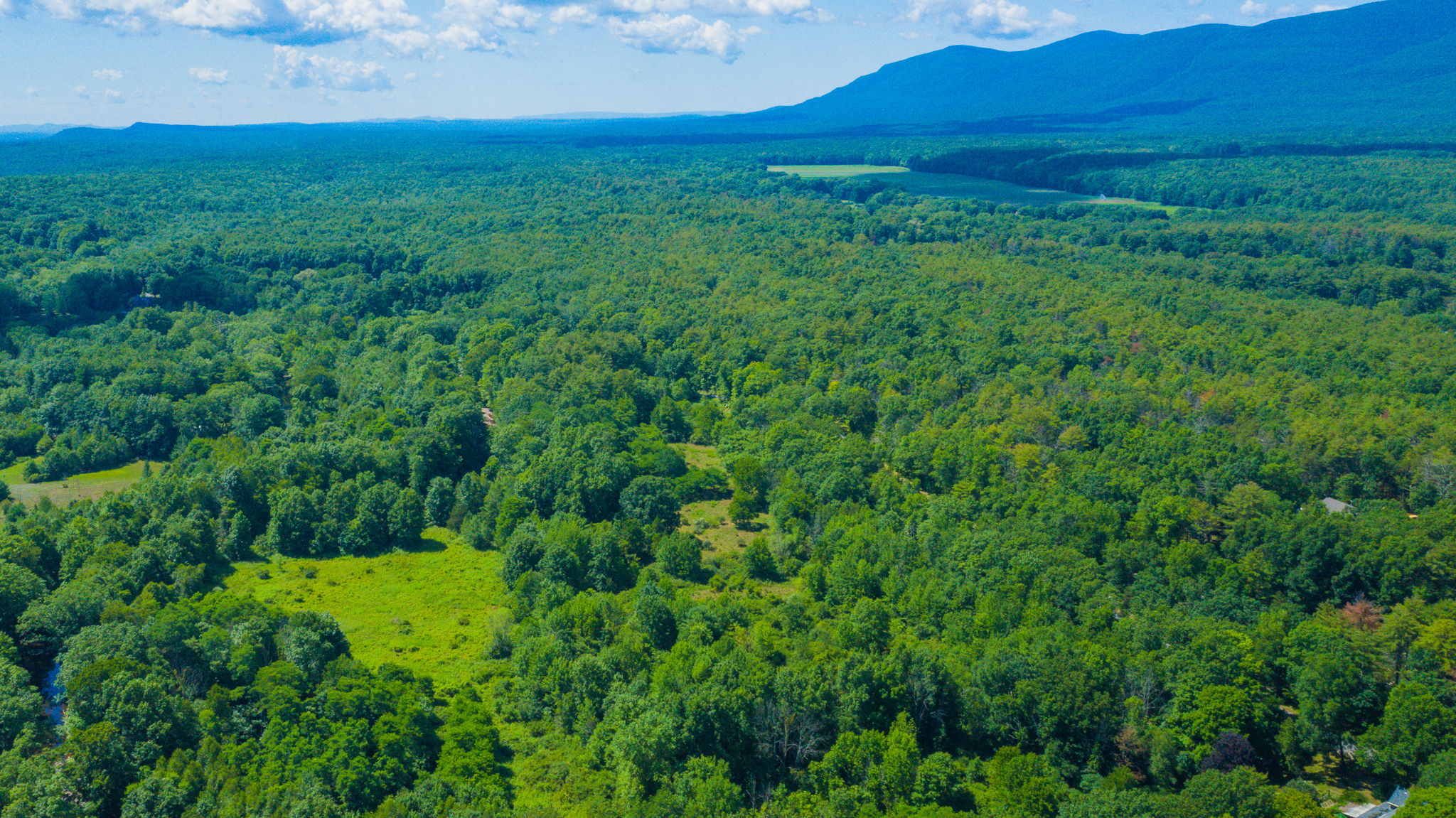 Lot 1 High Falls Rd, Catskill FarleyPierson