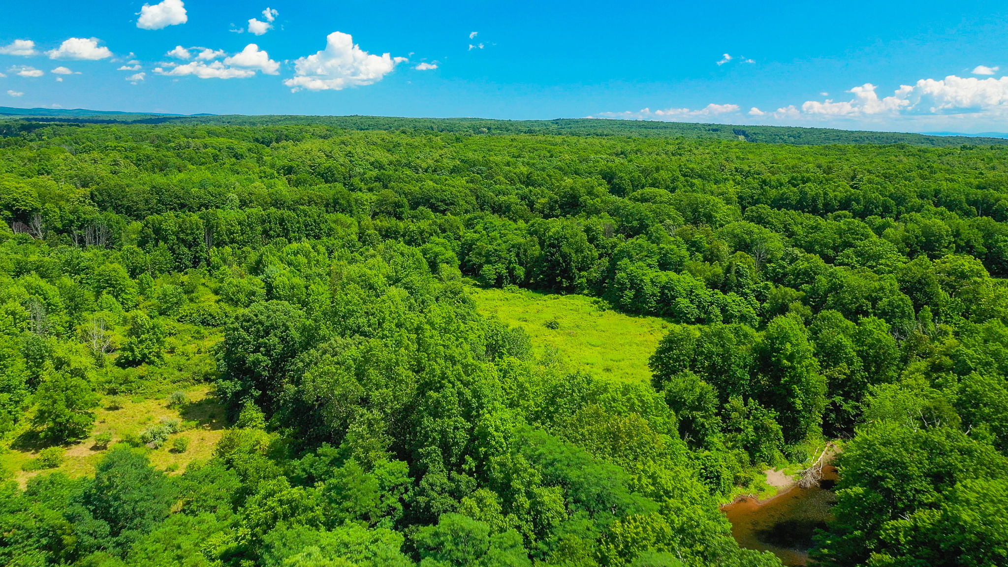 Lot 1 High Falls Rd, Catskill FarleyPierson