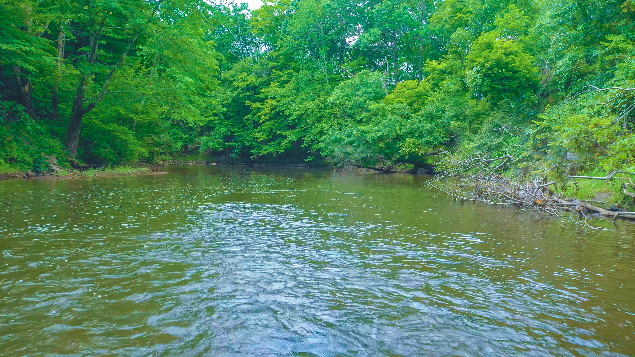 Lot 1 High Falls Rd, Catskill FarleyPierson