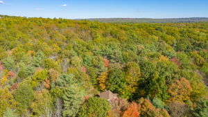 194 Libby Rd, Casco, ME 04015, US Photo 78